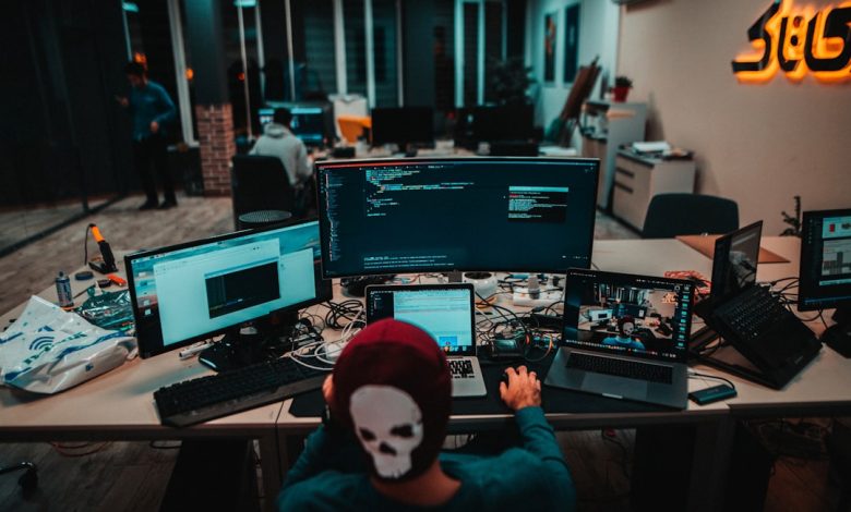 person using laptops