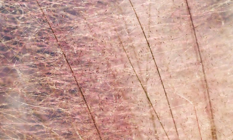 A blurry image of a bunch of wires in the air
