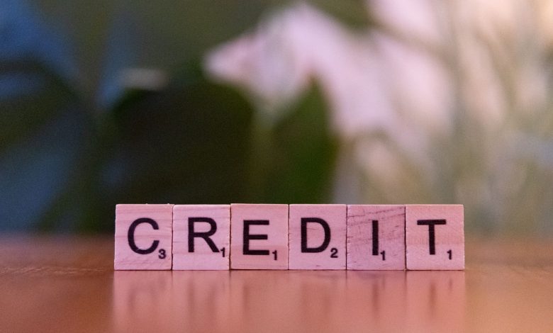 Close-up of wooden blocks spelling 'credit' with a blurred leafy background.