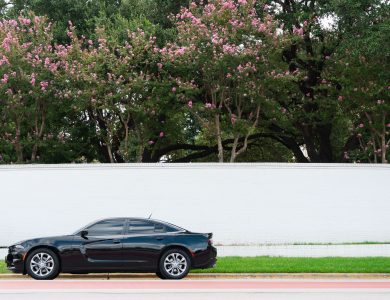 Sleek black car parked along a city street lined with flowering trees in Austin, Texas.