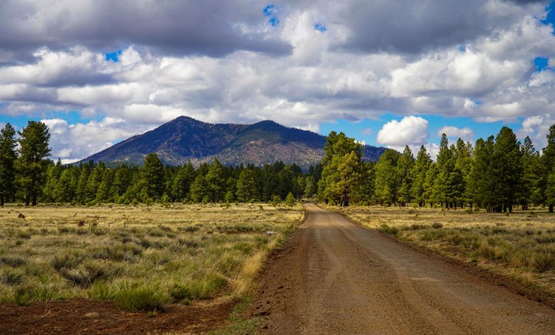 A picturesque dirt road in Flagstaff, Arizona with mountains and lush greenery under a cloudy sky.